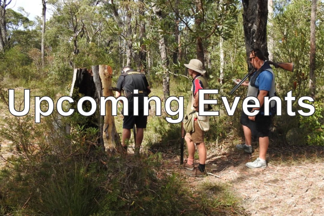 Home Sporting Clays NSW